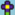 Flower official Wiki image